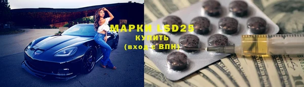 прущие грибы Абинск