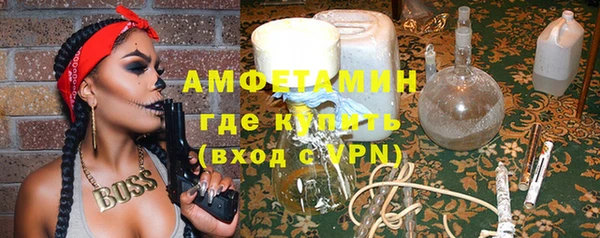 прущие грибы Абинск