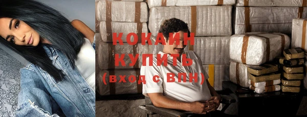 прущие грибы Абинск