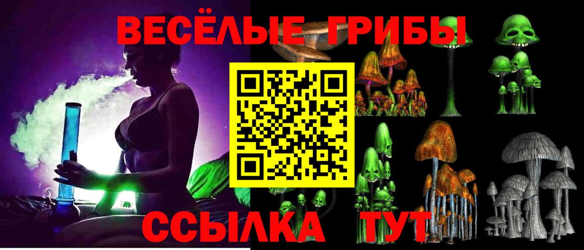 Псилоцибиновые грибы MAGIC MUSHROOMS  Вход с VPN  Алапаевск  Псилоцибиновые грибы Psilocybe 