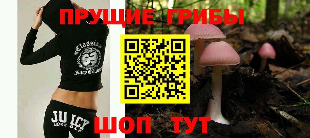 Галлюциногенные грибы Psilocybe Алапаевск