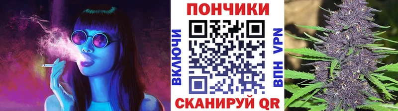 дарнет шоп  Алапаевск  Каннабис OG Kush 